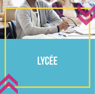 Enseignement au Lycée : Préparation au Baccalauréat et à l'Enseignement Supérieur