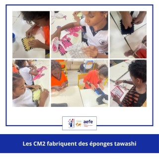 Recyclage en CM2 - fabrication d'éponde