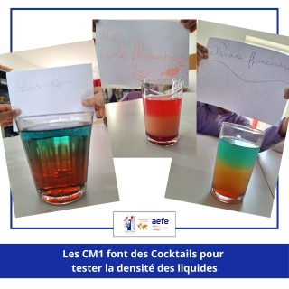 Les CM1 font leur Cocktail pour observer la densité des fluides