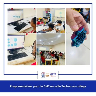 Découverte de la programmation et de la modélisation 3D en CM2B