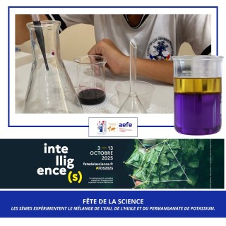 Fête de la science 2025 -  les 6e et 5e mènent l'expérience.