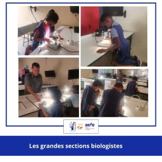 🌿🔬 Exploration scientifique au LFJP pour GS ! 🔬🌿