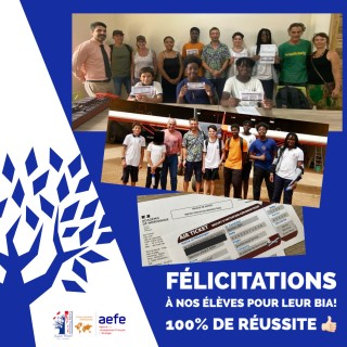 ✨🌟 Félicitations à nos jeunes élèves pour leur succès au Brevet d'Initiation d’Aéronautique ! 🌟✨